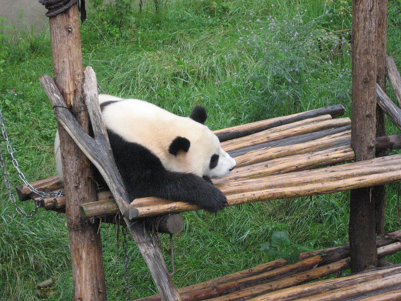 雲南野生動物園